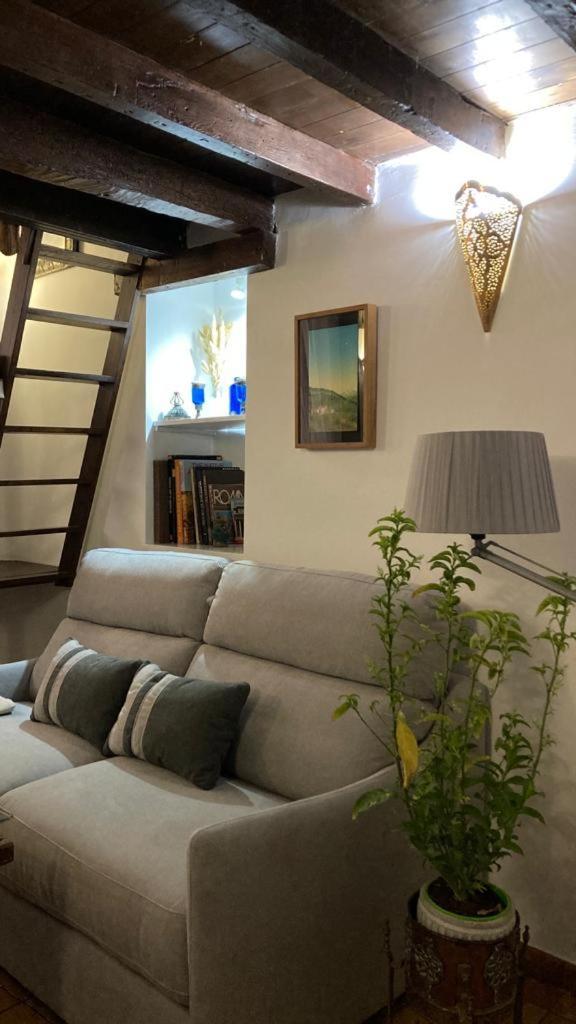 Adanar-apartamentos Muralla Ziri Appartement *